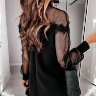DeRuiLaDy Spring 2021 Sexy Patchwork Lace Mini Dress Stand Collar Long Sleeved Dress